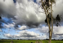 亚尔赛队打破困局，取得关键胜利