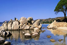 荷兰队遭遇挑战，斯洛文尼亚或成隐患