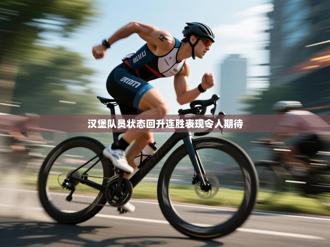 汉堡队员状态回升连胜表现令人期待