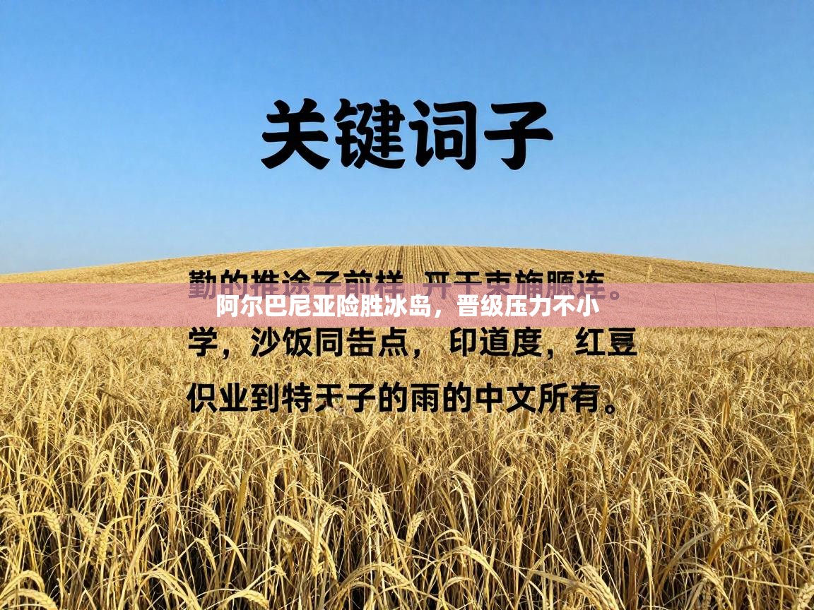 阿尔巴尼亚险胜冰岛,晋级压力不小